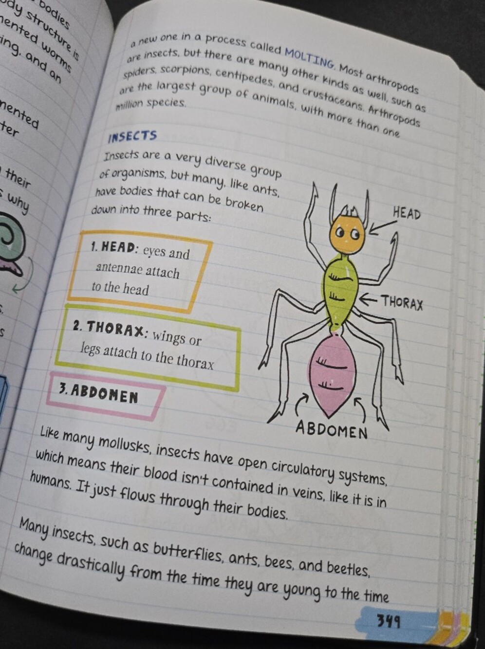 Middle school study guide SCIENCE - Picture 16 of 16